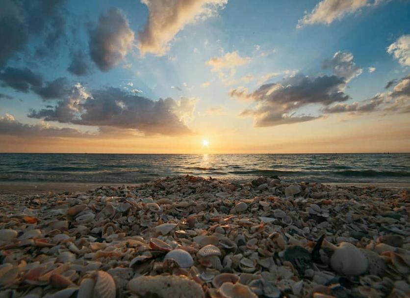 Platja Foto