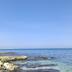 Altres