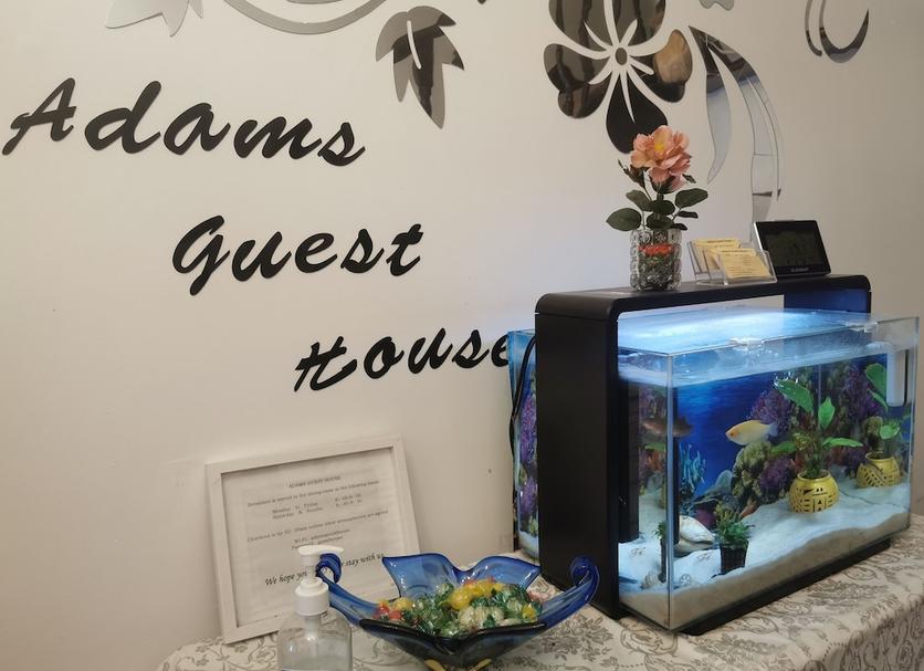 Serveis de l’habitació Foto