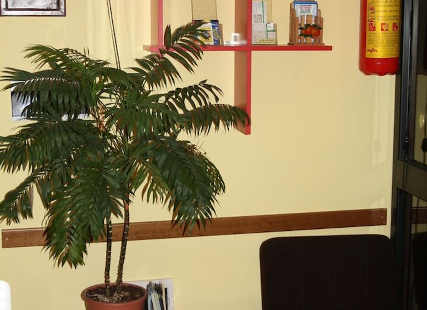 Serveis de l’habitació Foto