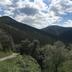 Altres