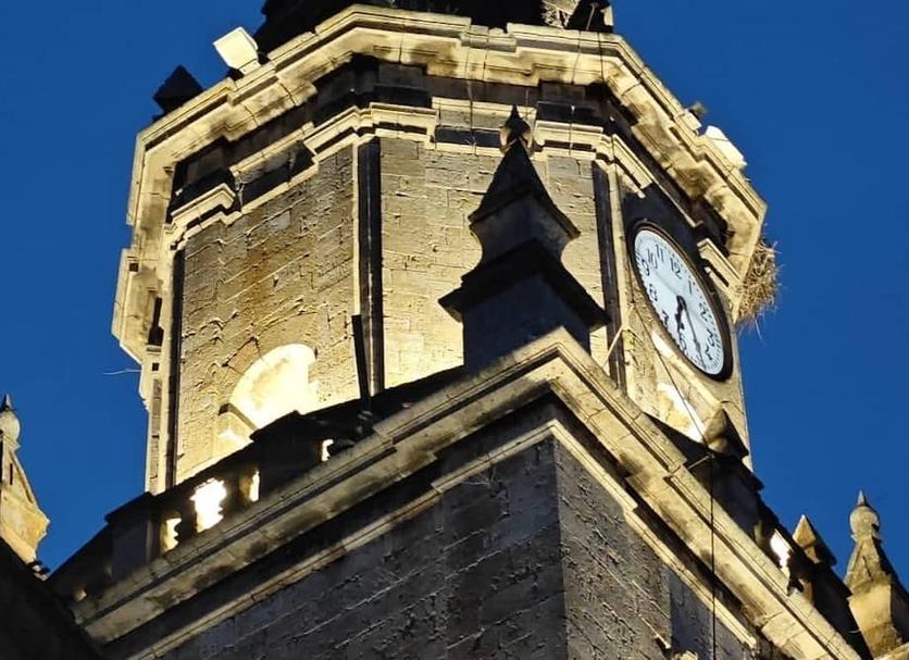 Altres Foto