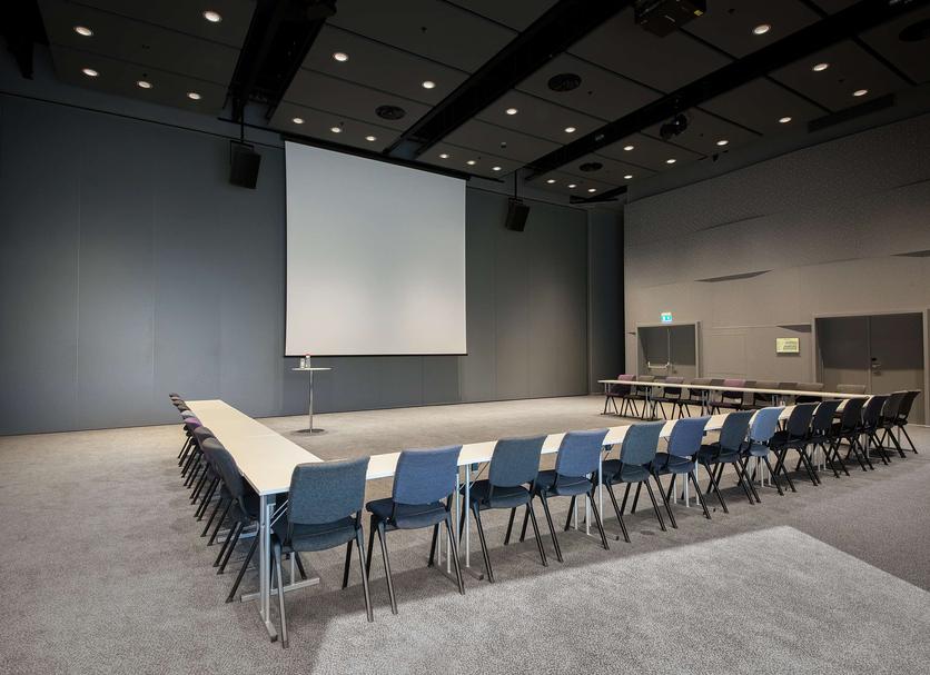 Sala de conferències Foto