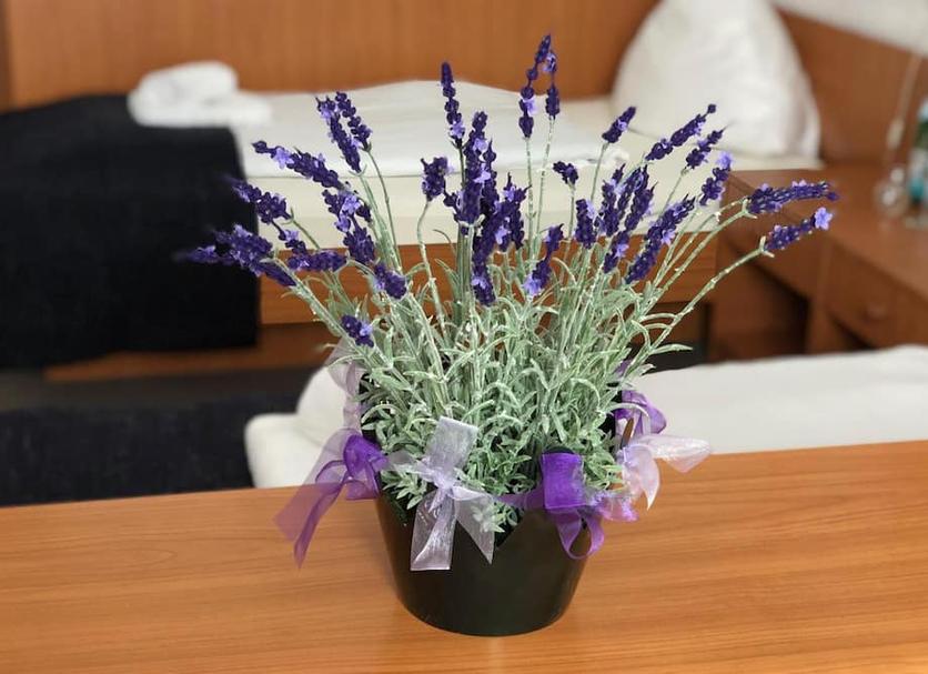 Serveis de l’habitació Foto