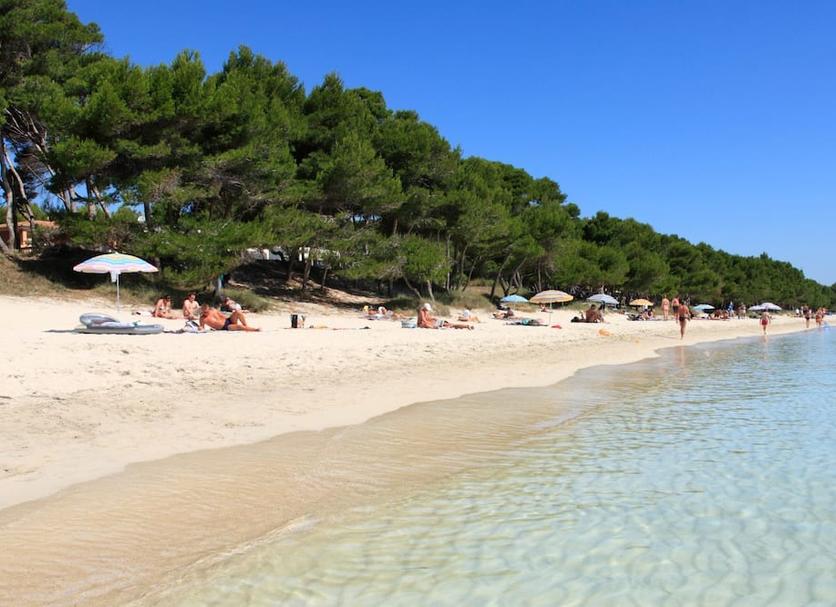 Platja Foto