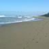 Platja