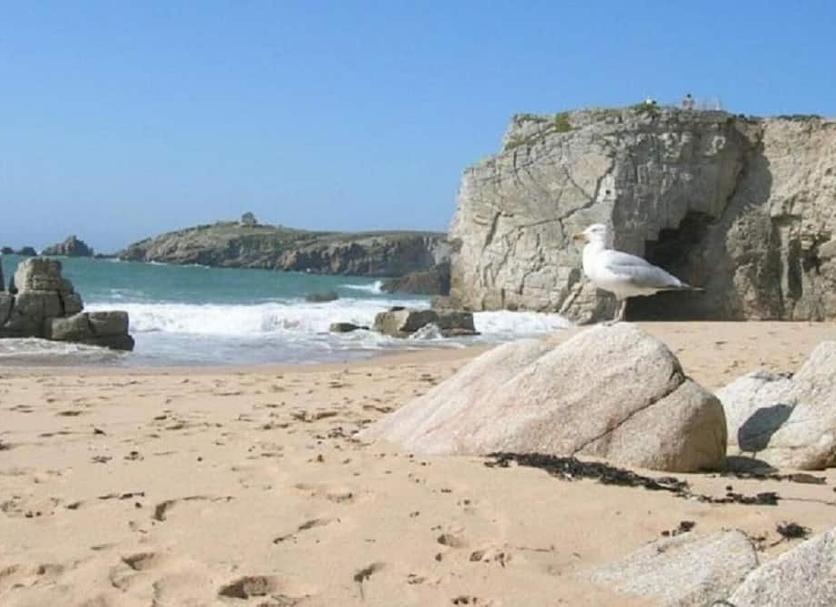 Platja Foto