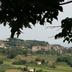 Edifici