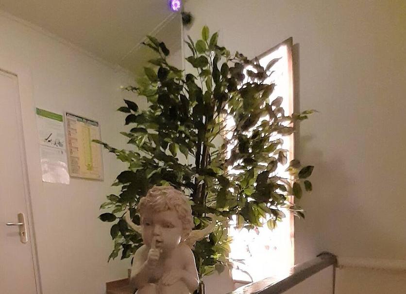 Serveis de l’habitació Foto