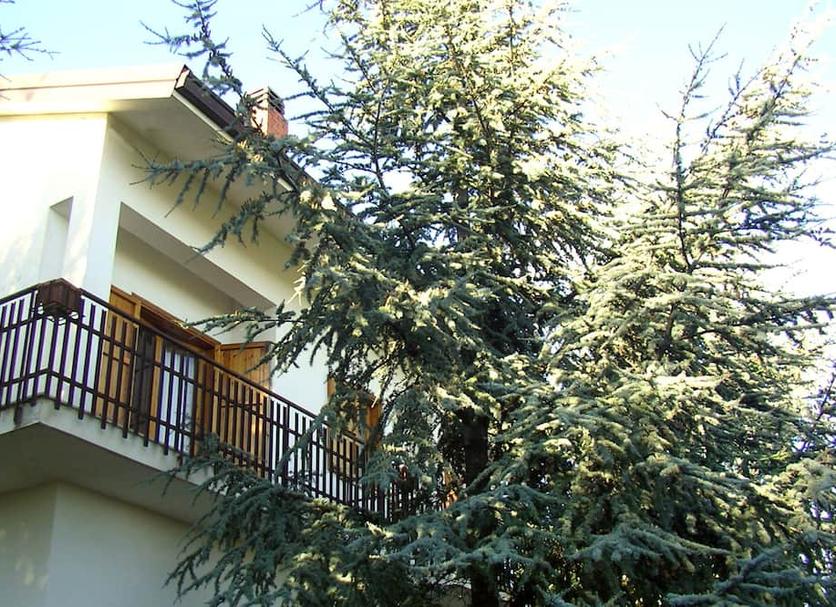 Vista exterior Foto