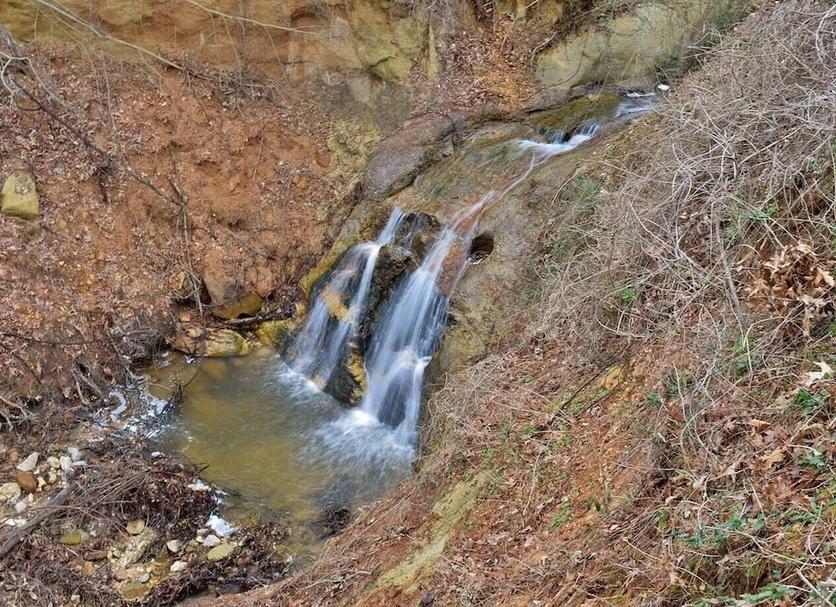 Altres Foto