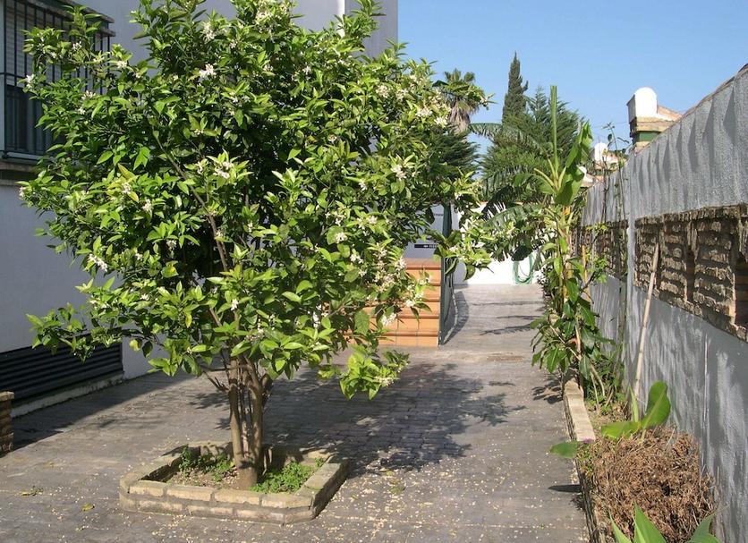 Vista exterior Foto