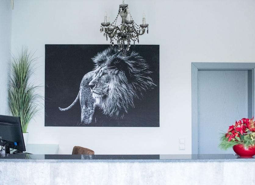 Serveis de l’habitació Foto