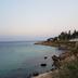 Altres