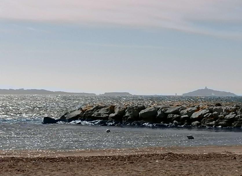 Altres Foto
