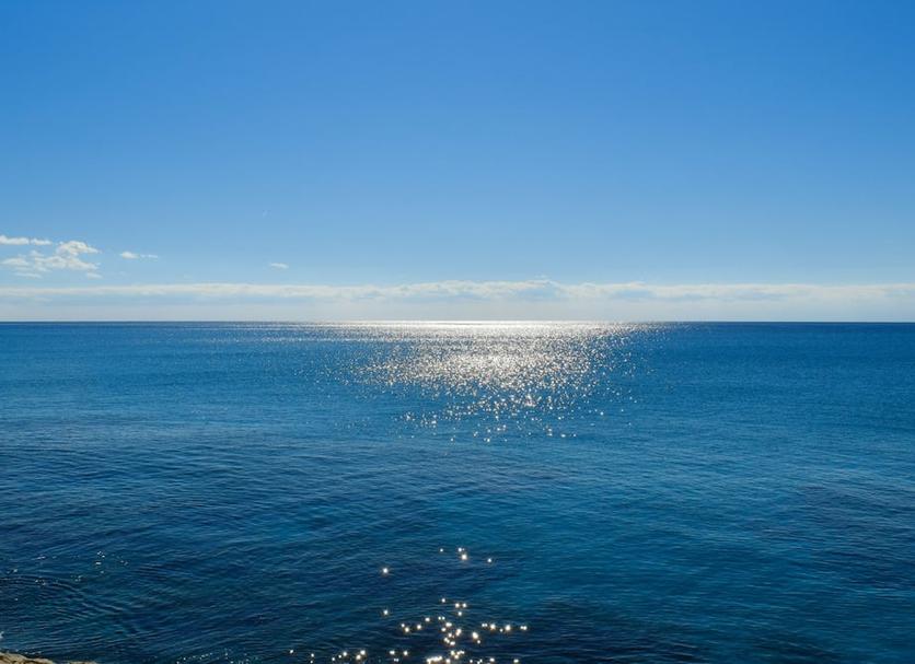 Altres Foto