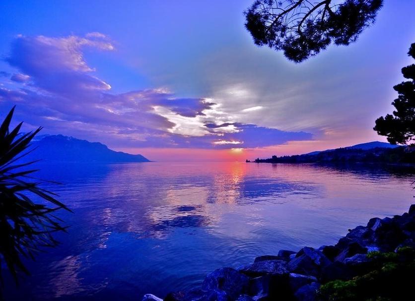 Altres Foto
