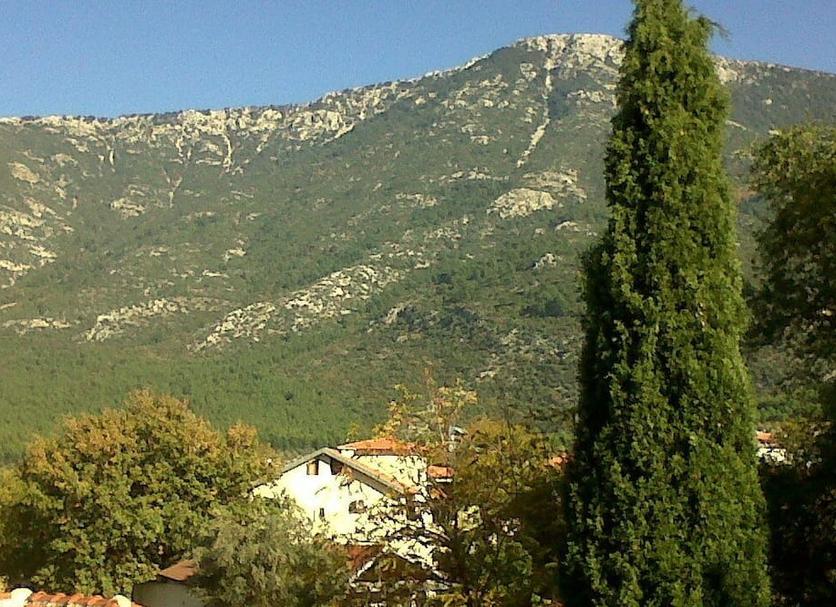 Vista exterior Foto