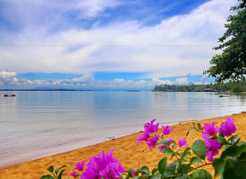 Platja Foto