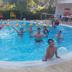 Altres