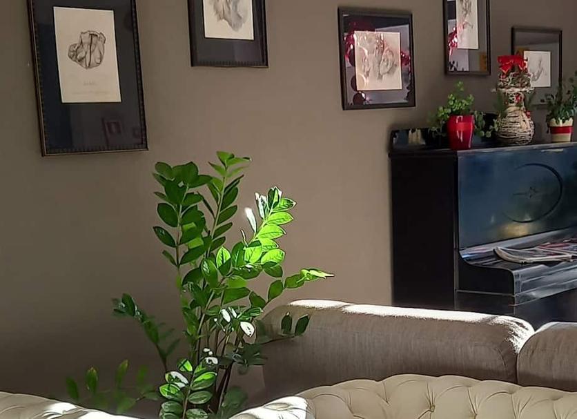 Serveis de l’habitació Foto