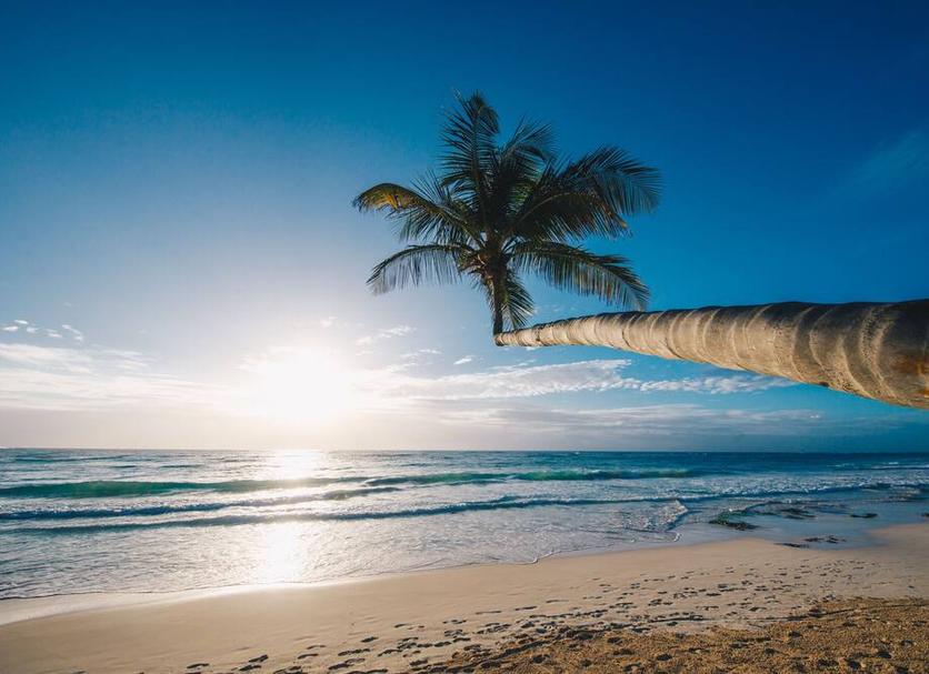 Platja Foto
