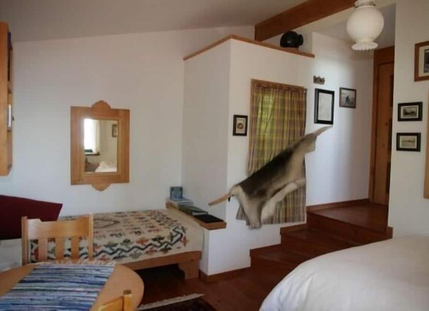 Habitació Foto