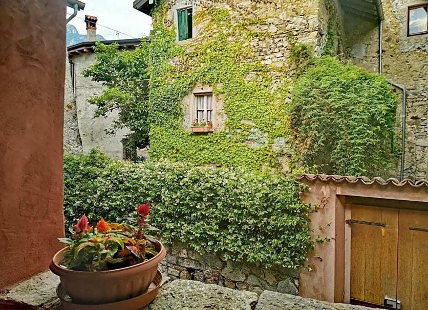 Vista exterior Foto