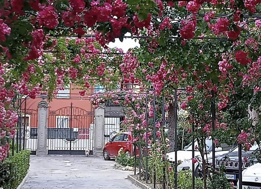 Vista exterior Foto