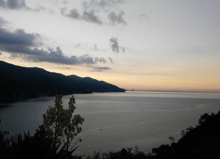 Altres Foto