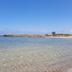 Altres