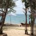 Platja