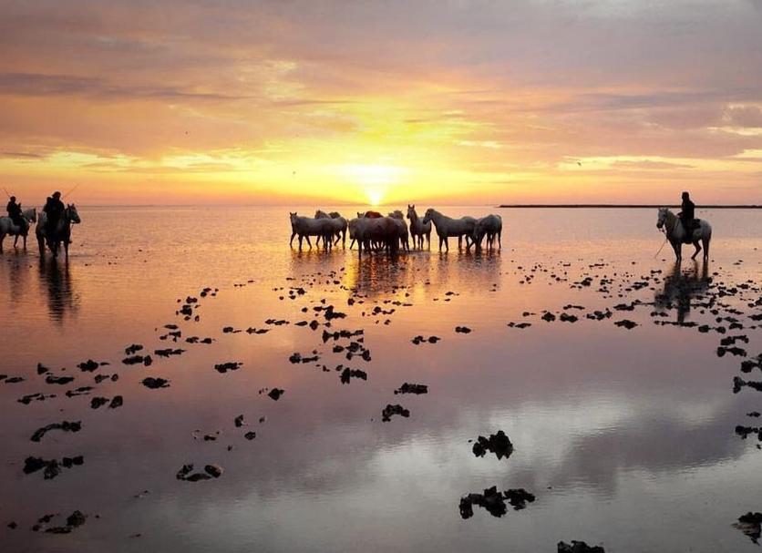 Altres Foto