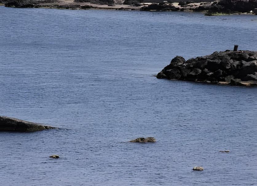 Platja Foto
