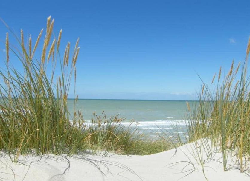 Platja Foto