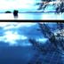Altres
