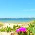 Platja