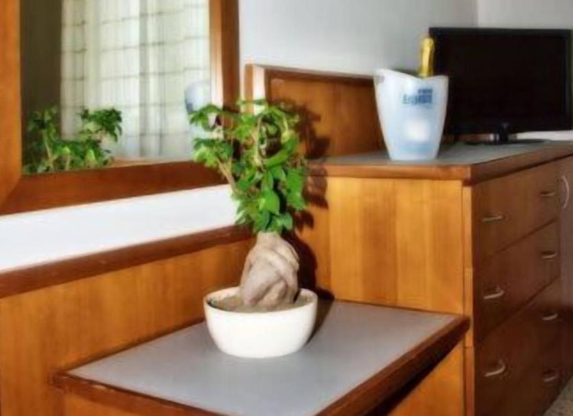 Serveis de l’habitació Foto