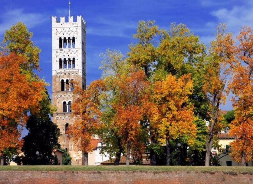 Edifici Foto