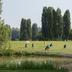 Camp de golf