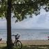 Platja
