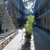 Altres