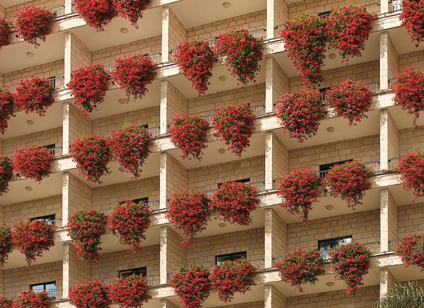 Edifici Foto