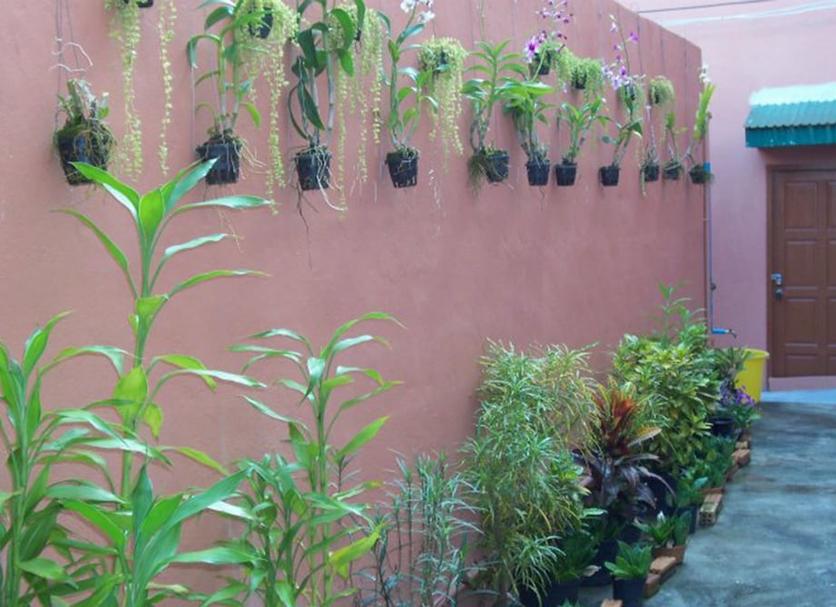 Vista exterior Foto