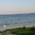 Altres