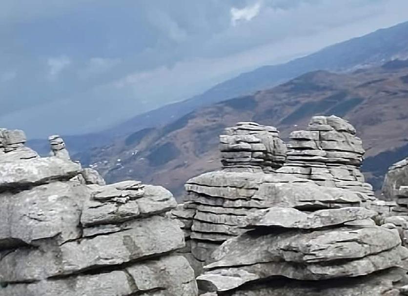 Altres Foto