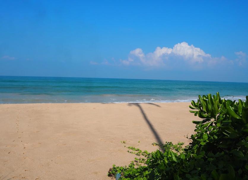 Platja Foto