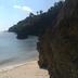 Altres