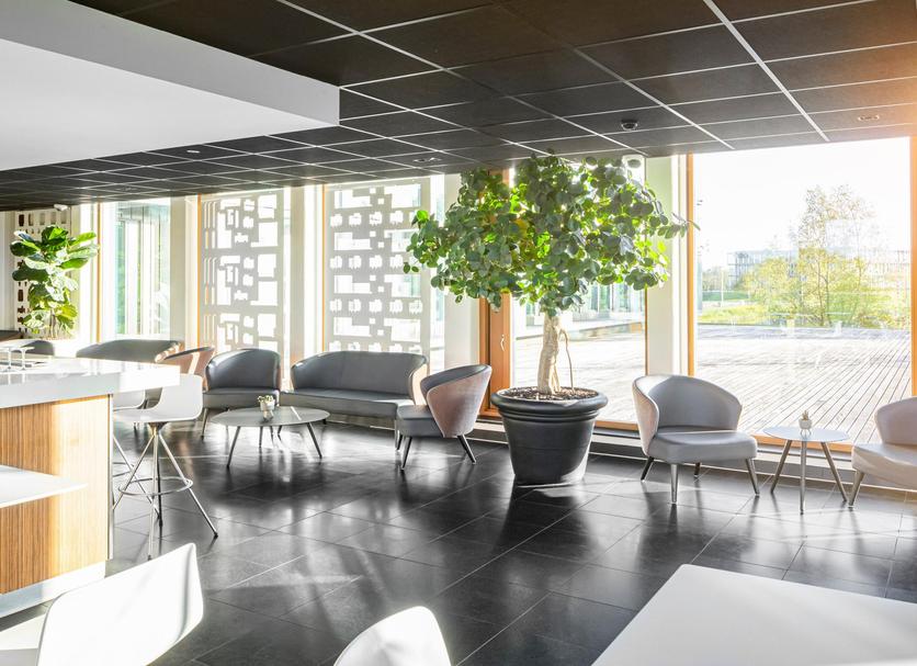 Sala d'estar Foto