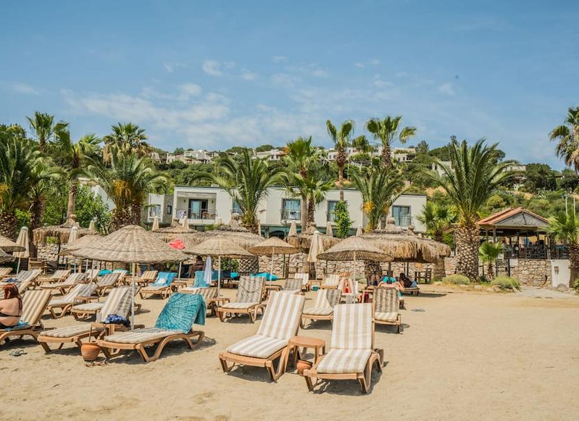 Platja Foto